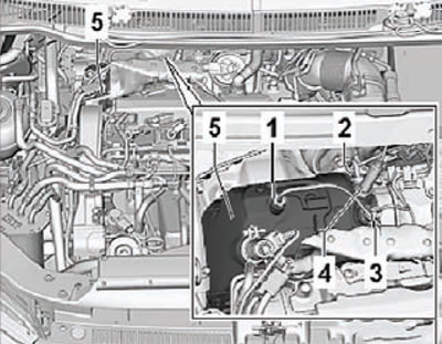 5. Unscrew the lambda probe (3) using a special…