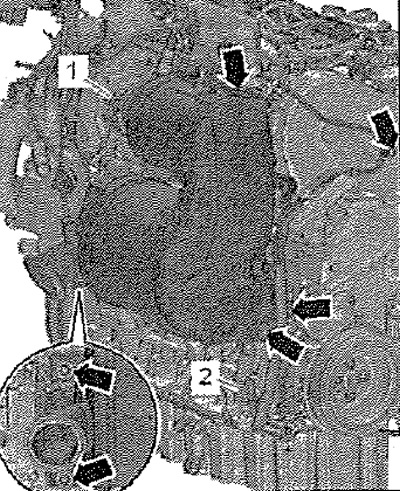 Выкрутить винт «1», снять зажимную муфту. Ослабить шпильку «2», немного отжать назад патрубок ОЖ.…