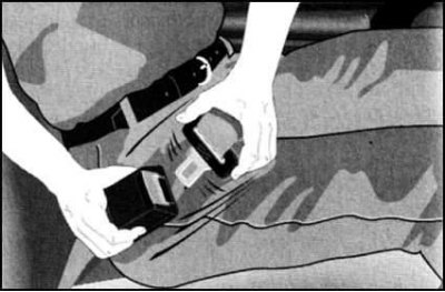 Беременные женщины также в обязательном порядке…