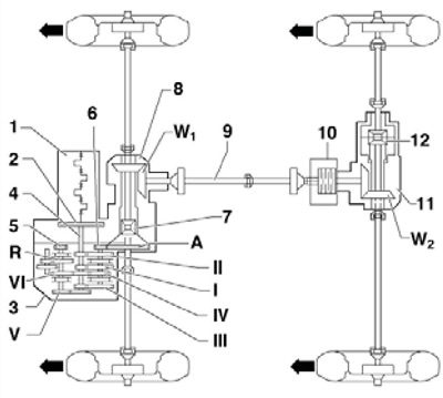 1.2c Схематично представяне на организацията на…